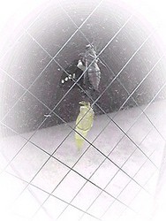 f:id:tinny:20080727142529j:image