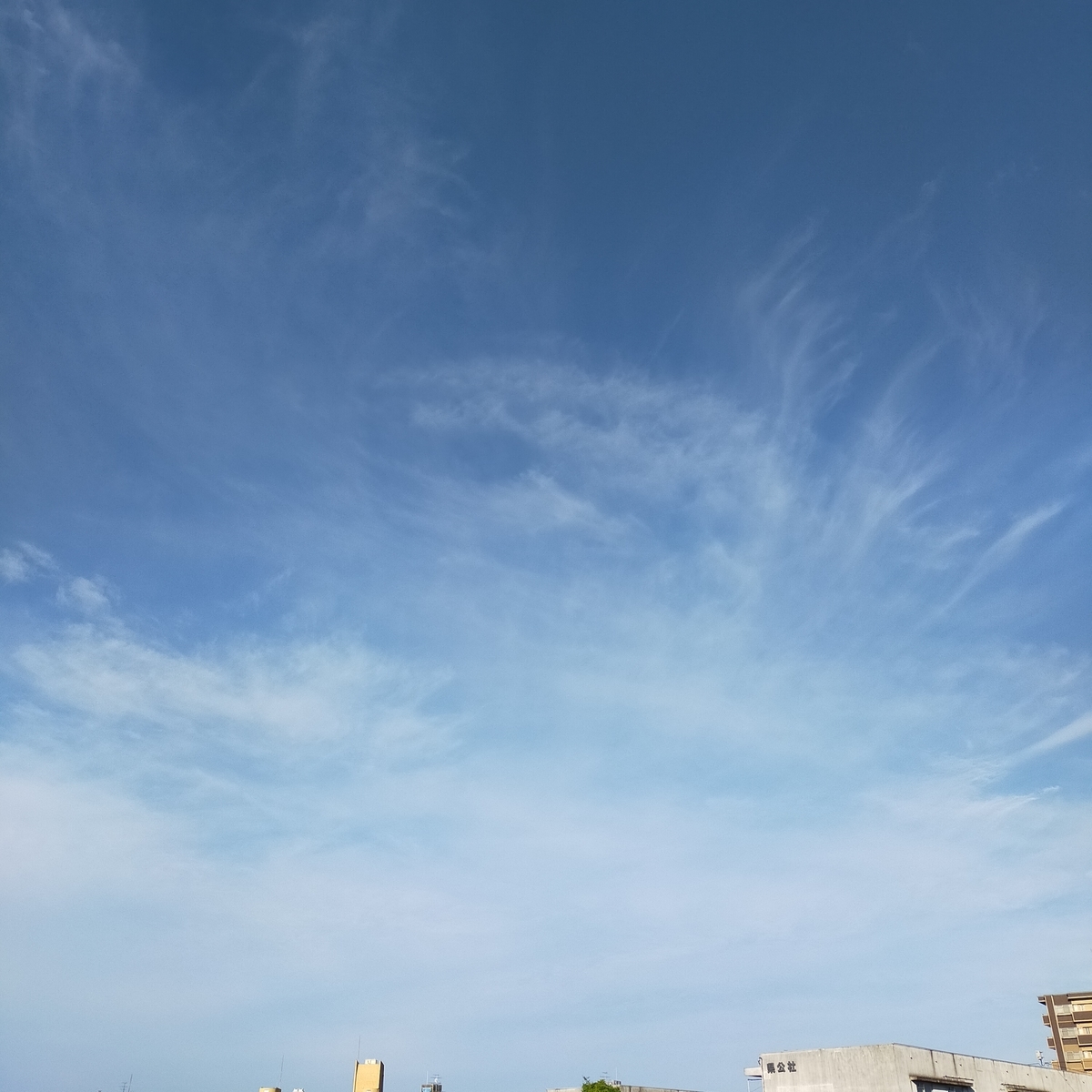 f:id:tinokuun1021:20210807102051j:plain