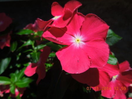 f:id:tinomoto:20140721125940j:image