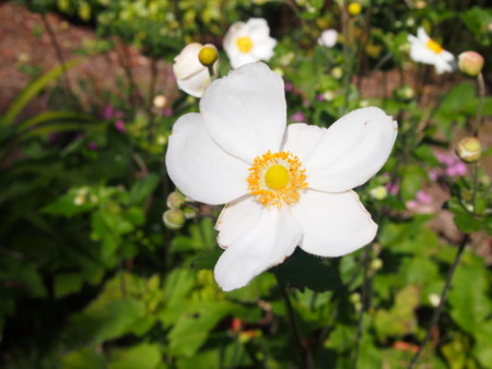 f:id:tinomoto:20140920094851j:image