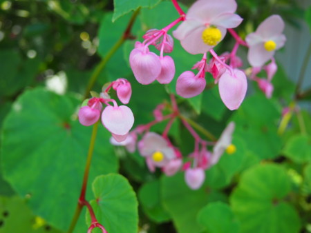 f:id:tinomoto:20140920095003j:image