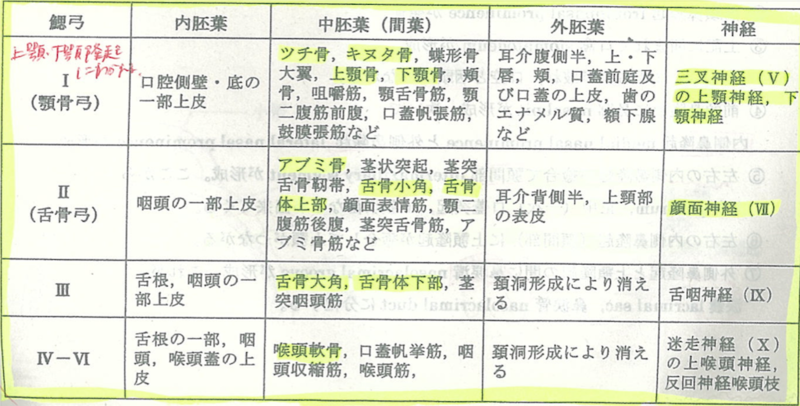 発生学5 頭 頸部 医学部生のノート公開 シケプリ対策