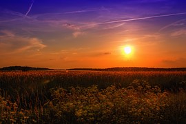f:id:tiolameka1973:20170315214907j:plain f:id:tiolameka1973:20170315214907j:plain