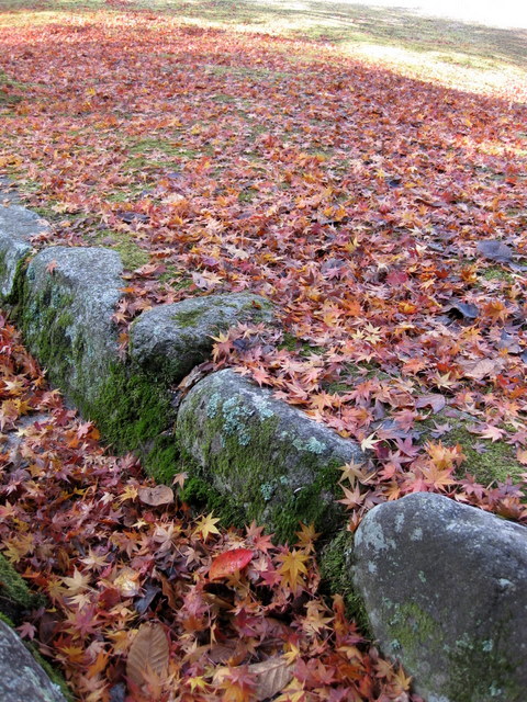 f:id:tiopepe:20081126124623j:image:w300