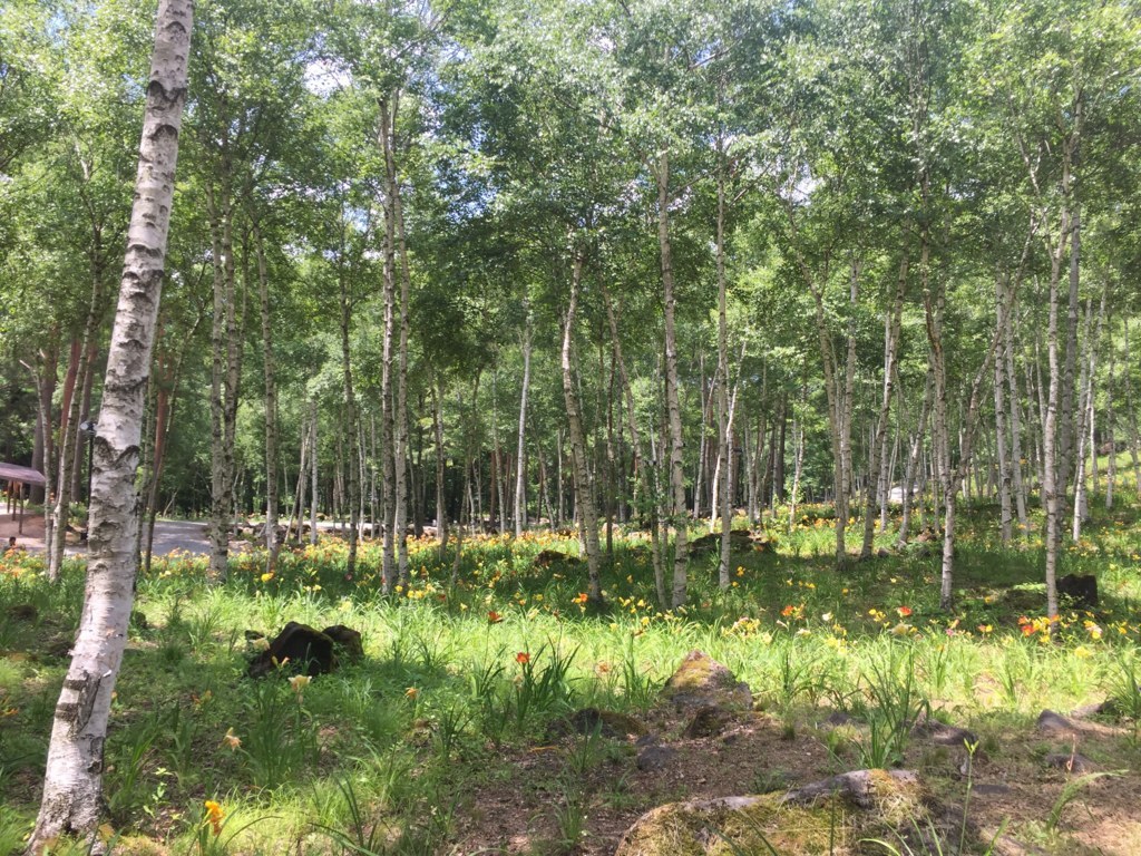 f:id:tiopepe:20170722121246j:image:w300 f:id:tiopepe:20170722121246j:image:w300