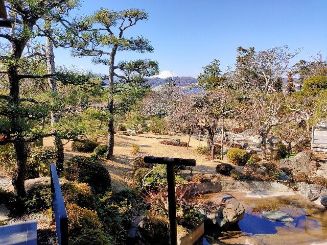 f:id:tiopepe:20210131234325j:image f:id:tiopepe:20210131234325j:image