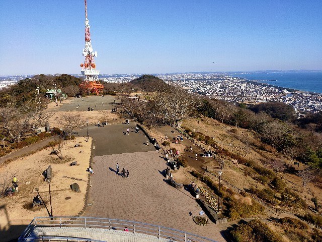 f:id:tiopepe:20210131234425j:image f:id:tiopepe:20210131234425j:image