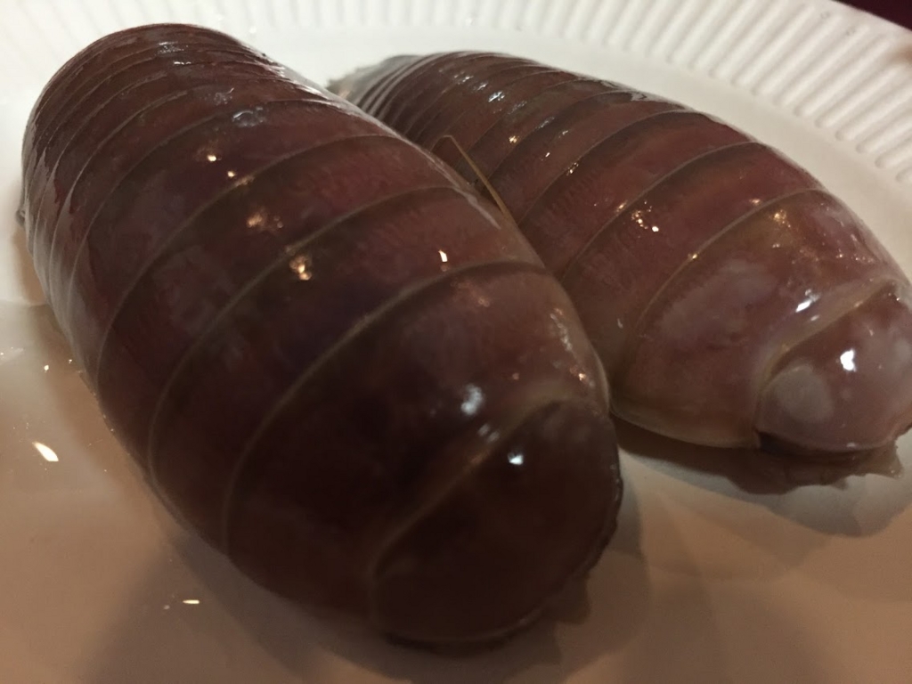 f:id:tipitu:20170220214140j:plain