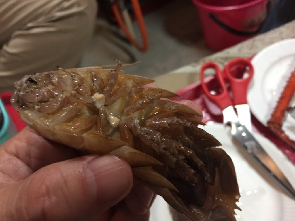 f:id:tipitu:20170220214225j:plain