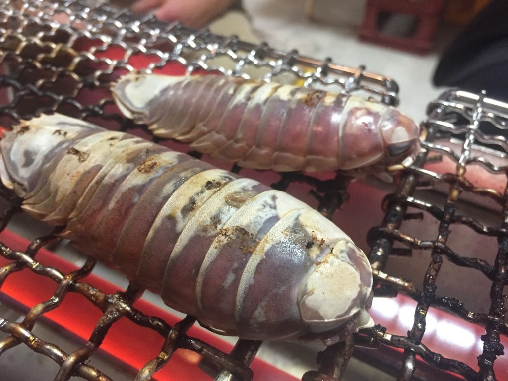 f:id:tipitu:20170220214334j:plain