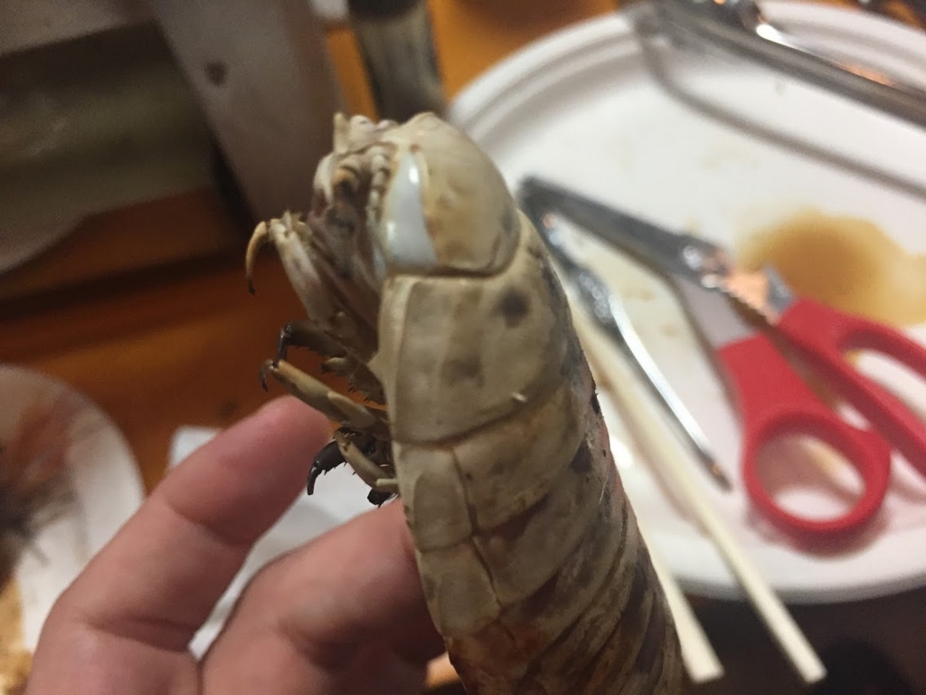 f:id:tipitu:20170220214354j:plain