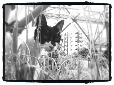 f:id:tipokart:20110622130137j:image