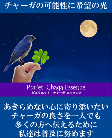 f:id:tippofree:20170129164147j:plain f:id:tippofree:20170129164147j:plain