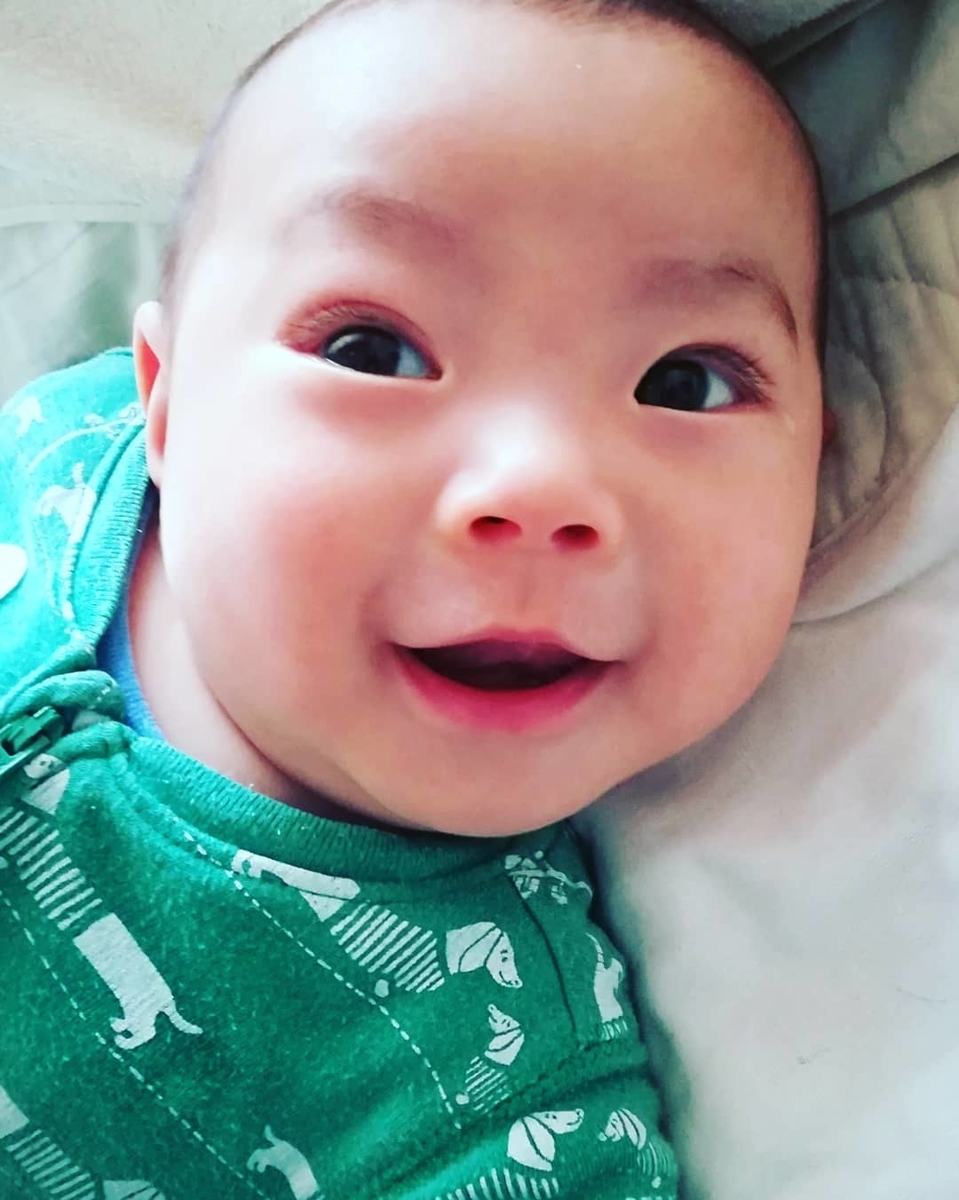 f:id:tiredof_waitingforyou:20190501100709j:plain f:id:tiredof_waitingforyou:20190501100709j:plain