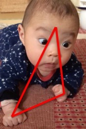 f:id:tiredof_waitingforyou:20190819230213j:plain f:id:tiredof_waitingforyou:20190819230213j:plain