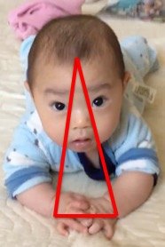 f:id:tiredof_waitingforyou:20190819230237j:plain f:id:tiredof_waitingforyou:20190819230237j:plain