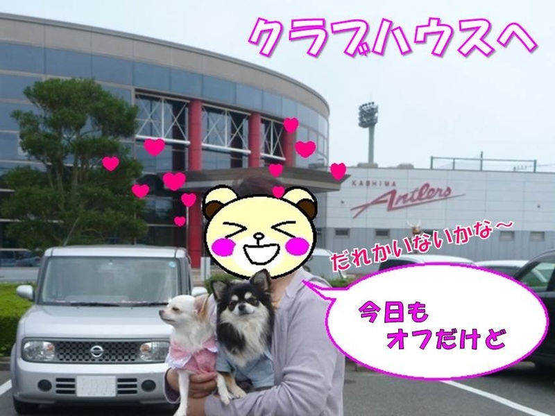 コンプリート 鹿島 アントラーズ 雄飛 寮 2875