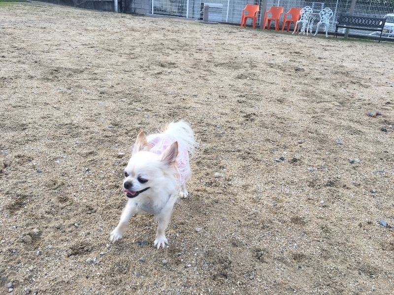 イメージ 8