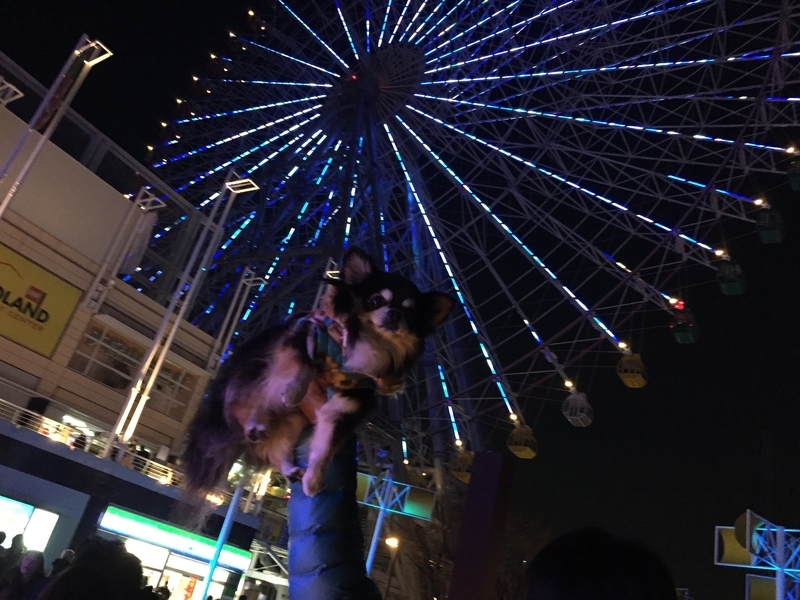 イメージ 13
