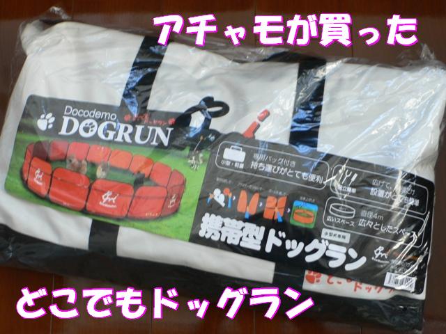 どこでもドッグラン どこでもドッグラン（携帯型ドッグラン） - ロングコートチワワの