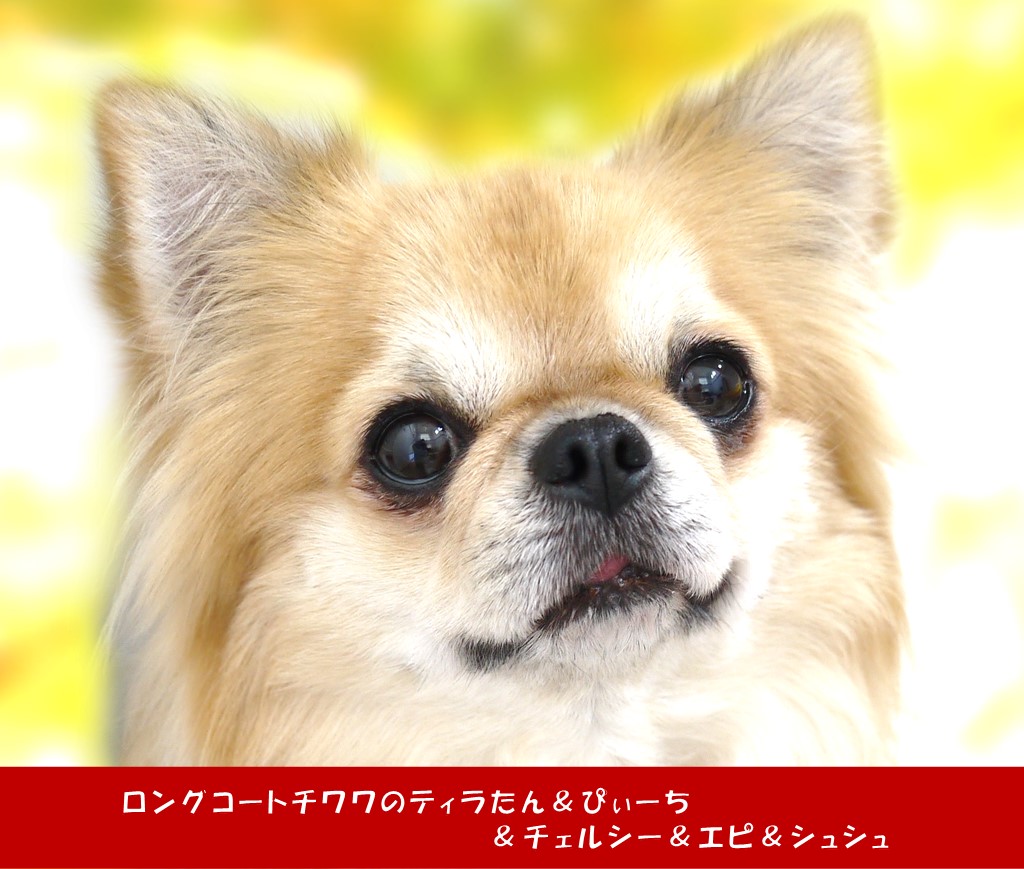 利尿とは サイエンスの人気 最新記事を集めました はてな 利尿とは サイエンスの人気 最新記事を集めました はてな
