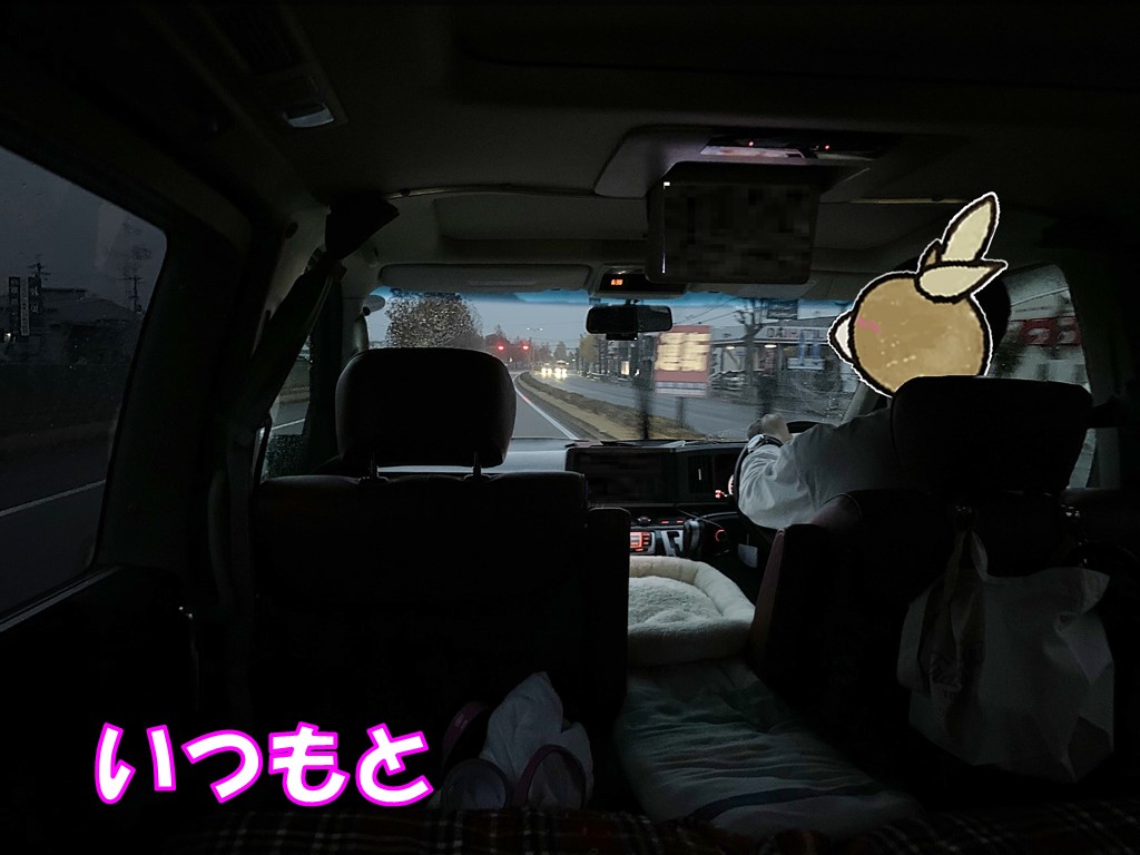 まずは雨の中をゆっくりのんびりドライブ 21紅葉旅行 その２ ロングコートチワワのティラたん ぴぃーち チェルシー エピ シュシュ