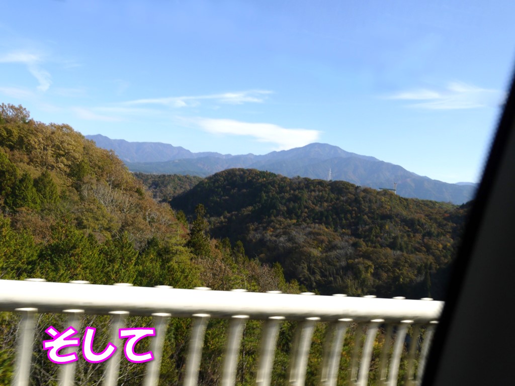 meet tree Caféのモンブランで２度目のスイーツタイムと四ツ目川のほとりを散歩【2022紅葉旅行◇その11】 -  ロングコートチワワのティラたん＆ぴぃーち＆チェルシー＆エピ＆シュシュ＆シャルロット＆むぅ