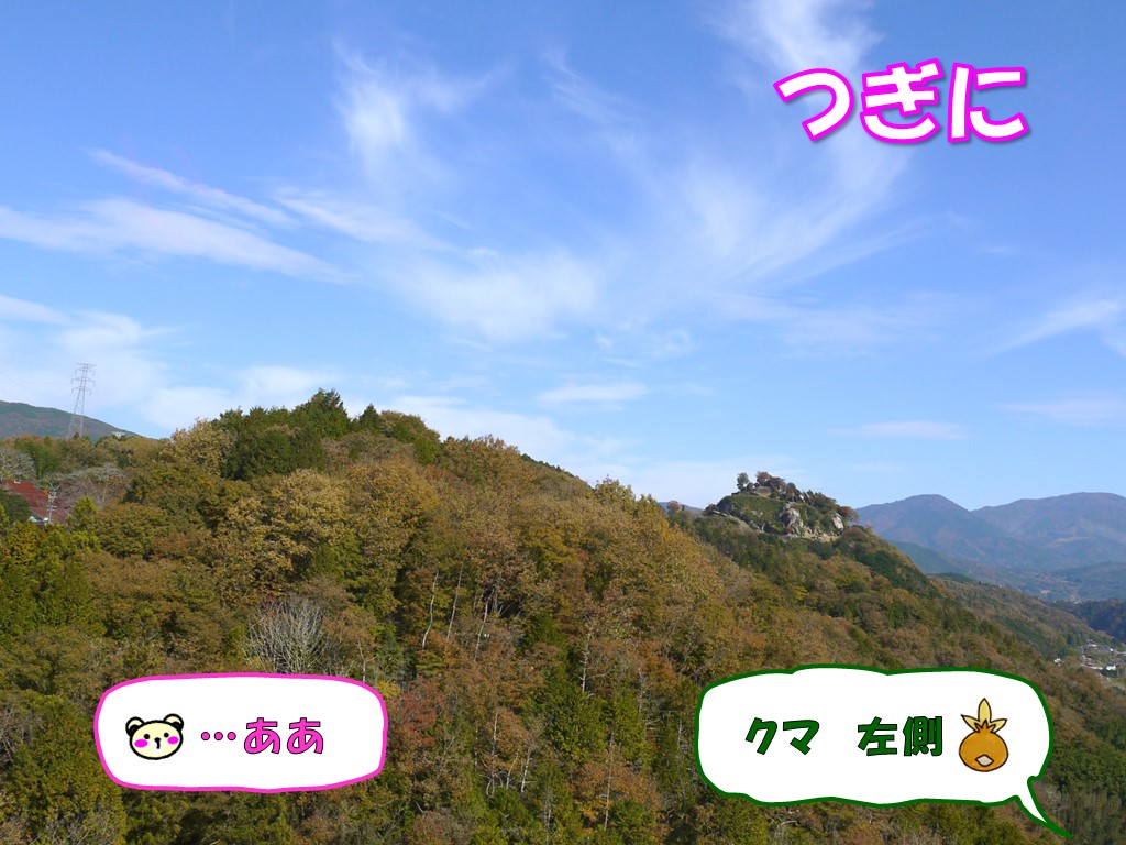 meet tree Caféのモンブランで２度目のスイーツタイムと四ツ目川のほとりを散歩【2022紅葉旅行◇その11】 -  ロングコートチワワのティラたん＆ぴぃーち＆チェルシー＆エピ＆シュシュ＆シャルロット＆むぅ