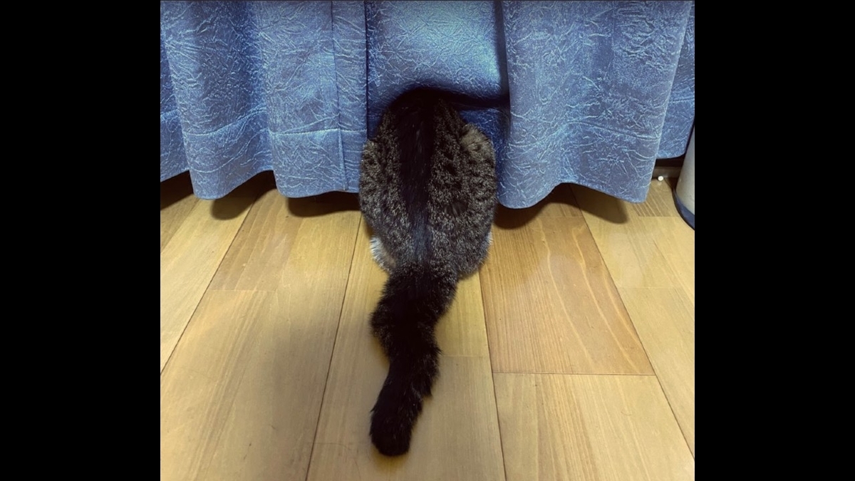 チロルカーテン