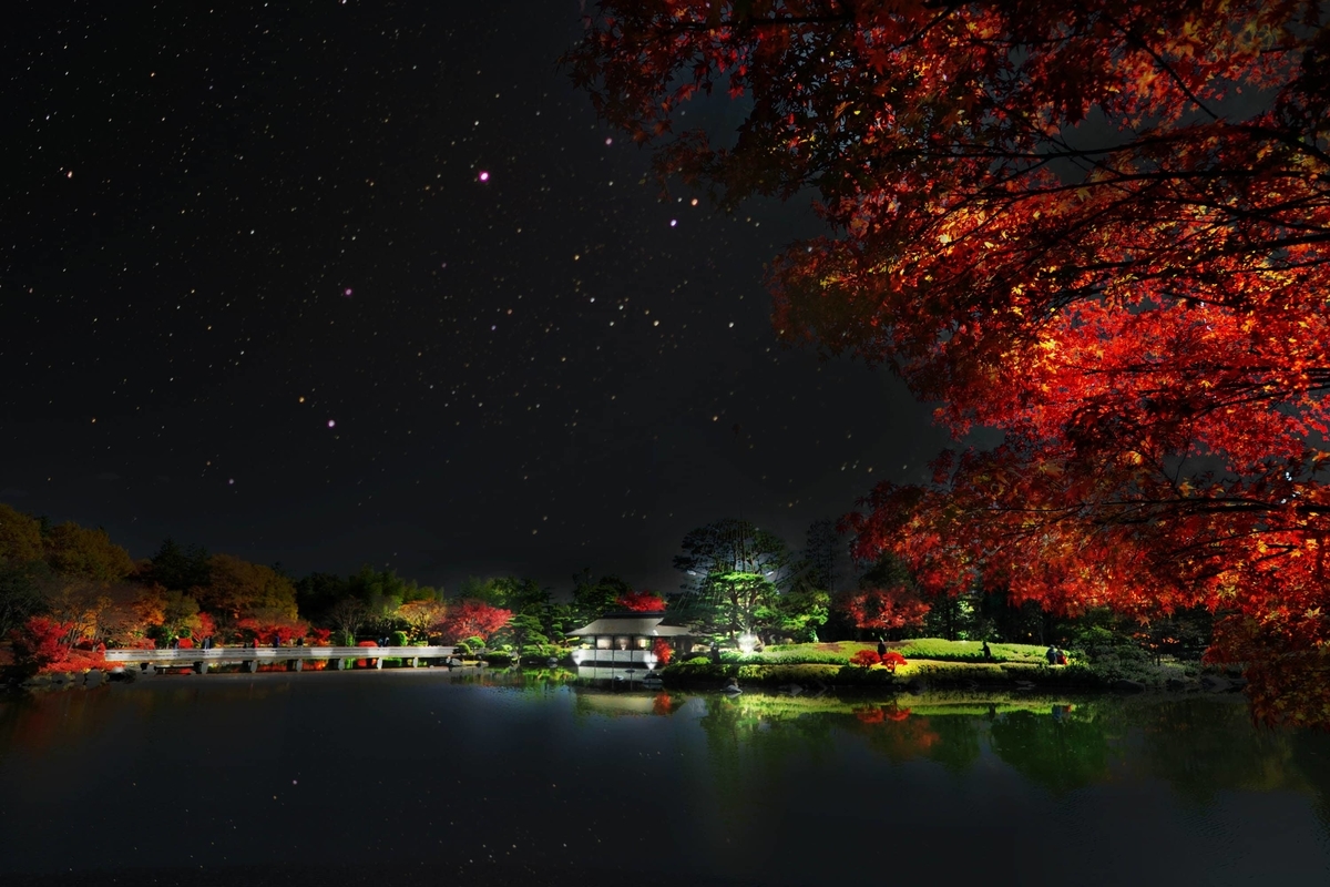 公園などのイベント施設ライトアップ例その4