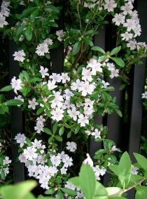 f:id:tisarou100:20171029101500j:plain f:id:tisarou100:20171029101500j:plain