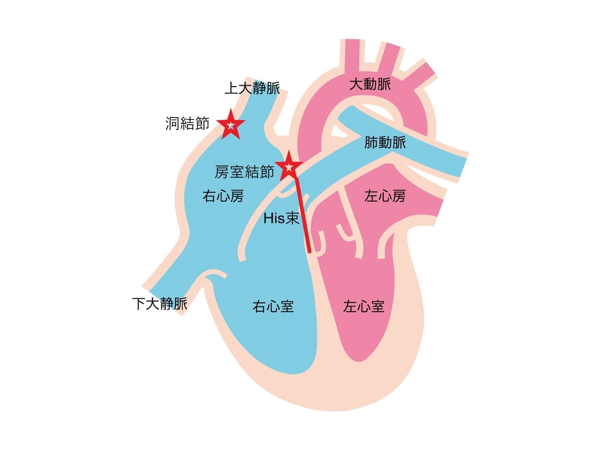f:id:tissue00:20200714224438j:plain