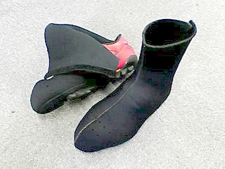 20060125.jpg