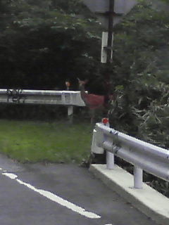 20060812.JPG