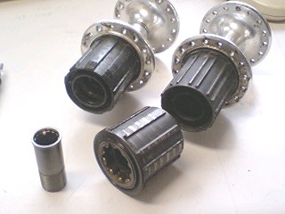 20070305.jpg