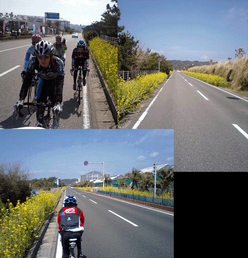20080316.jpg