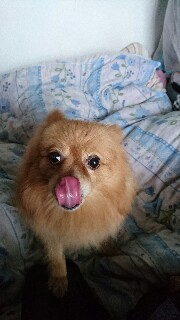 f:id:titeruginzou:20160923112143j:plain f:id:titeruginzou:20160923112143j:plain