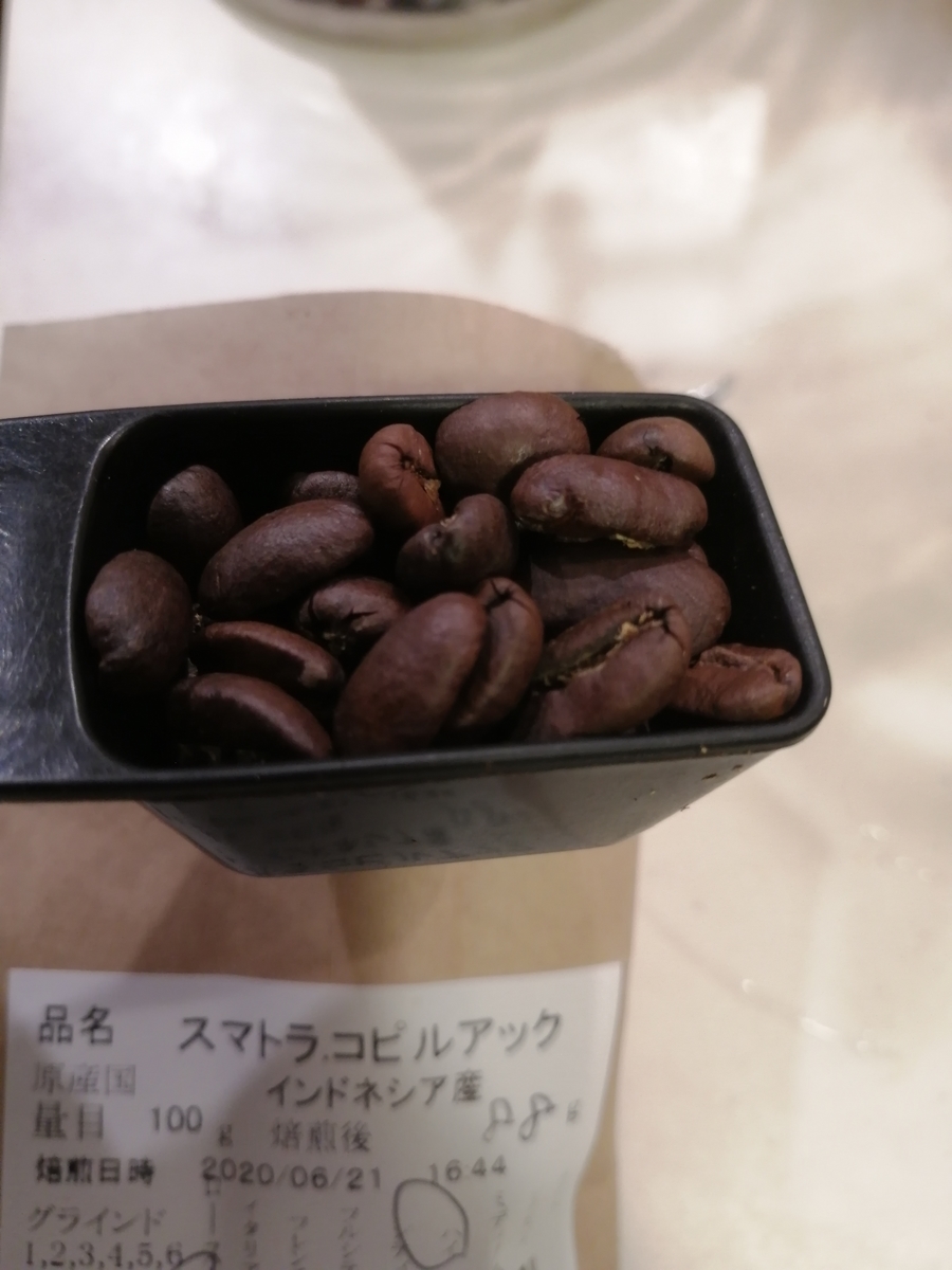 ジャコウネコ コピ ルアク のコーヒー豆をタイムモアミルで挽いて飲んでみた 子持ち親父のちょっと旅気分