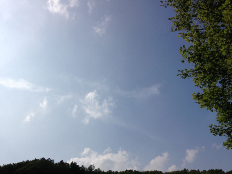 f:id:tiyatuka:20140803151632j:image:w640 f:id:tiyatuka:20140803151632j:image:w640