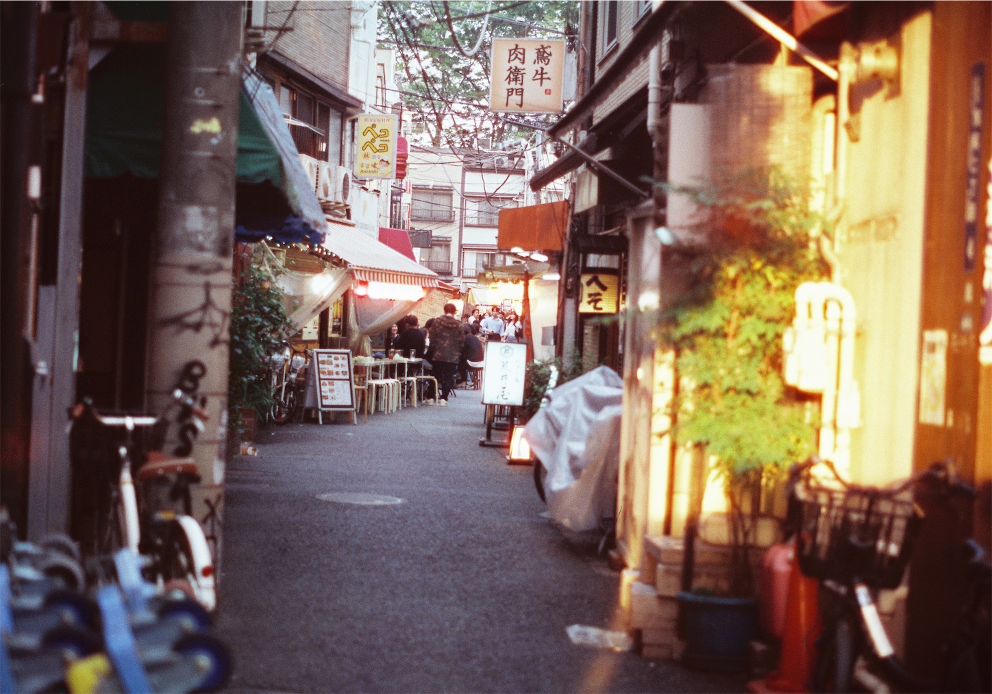 f:id:tjhi:20260427153031j:image