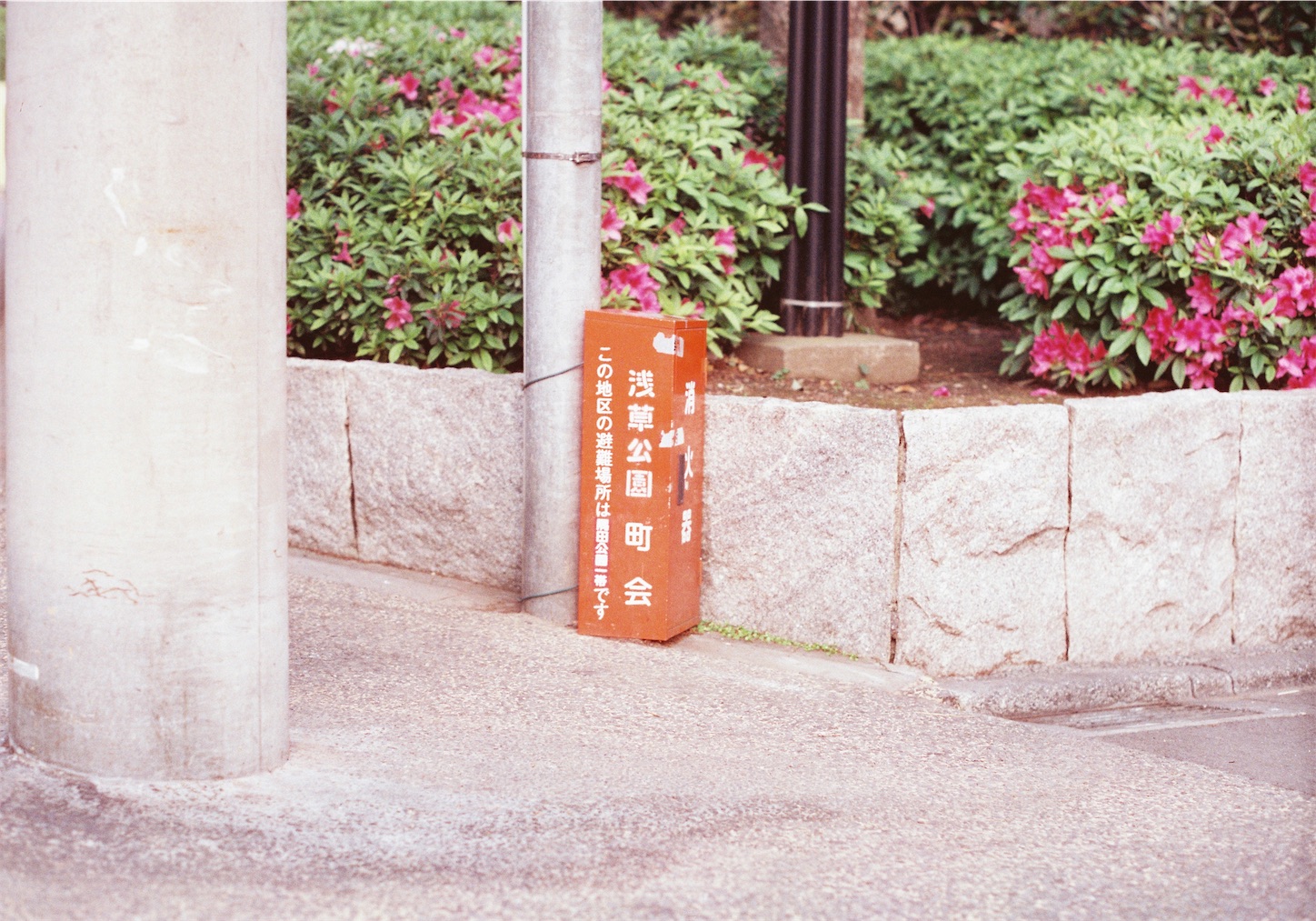 f:id:tjhi:20260427153125j:image