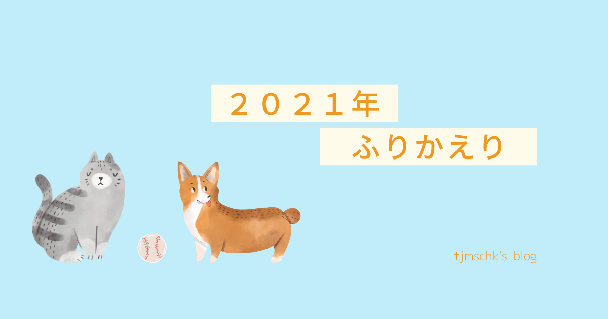 f:id:tjmschk:20211231180802p:plain