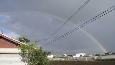 f:id:tk-000:20110805053043j:image f:id:tk-000:20110805053043j:image