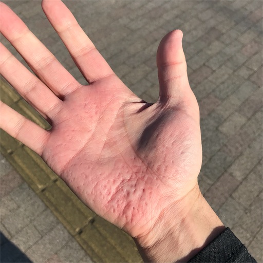 f:id:tk-strong:20190504215526j:image f:id:tk-strong:20190504215526j:image