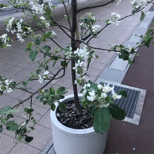 f:id:tk-strong:20190513214315j:image f:id:tk-strong:20190513214315j:image