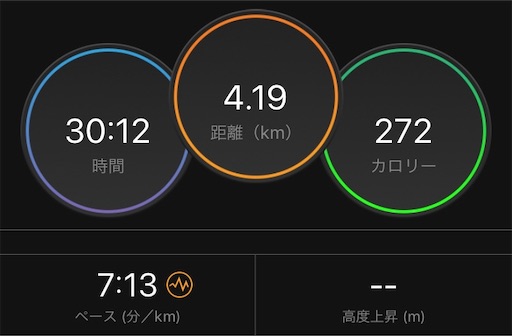 f:id:tk-strong:20190604204743j:image