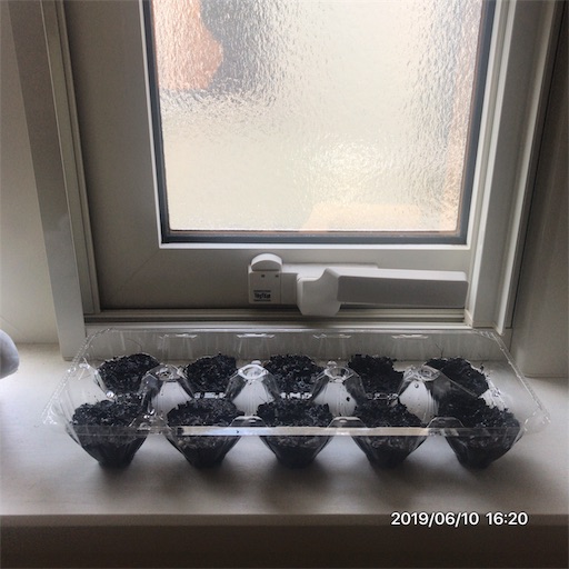 f:id:tk-strong:20190610230413j:image f:id:tk-strong:20190610230413j:image