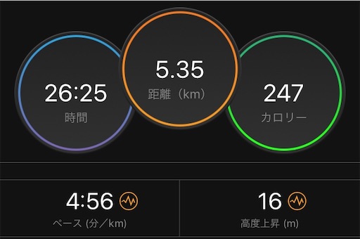 f:id:tk-strong:20190622222413j:image