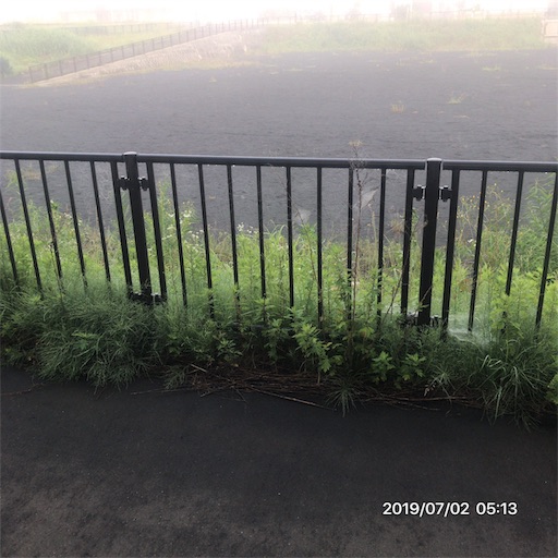 f:id:tk-strong:20190702214247j:image f:id:tk-strong:20190702214247j:image