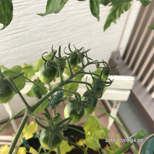 f:id:tk-strong:20190709213644j:image
